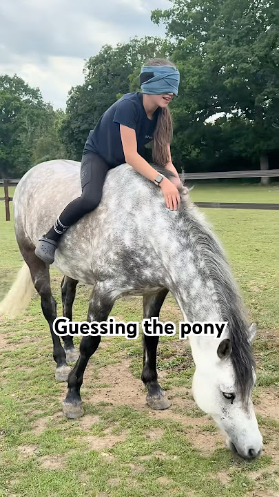 Guessing the pony😱 #horse #equestrian #horseriding #viralshorts #trending #amazing #fyp #foryou