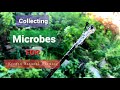 Harvest microbes in nature  forest mycelium in soil with knf garden methods  pt 1