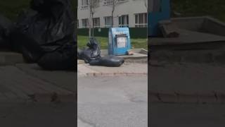 Plasti̇k Toplayicisi Bakin Ne Yapiyor Seni̇n Suçun Yok Seni̇ Bu Duruma Sokanlar Utansin Resimi