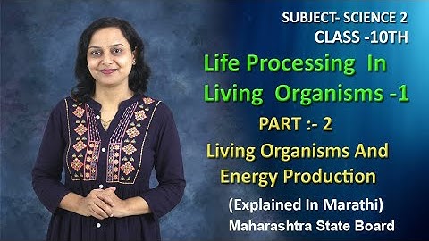 Life Processes In Living Organisms |Part 2 | Class 10 | Maharashtra Board