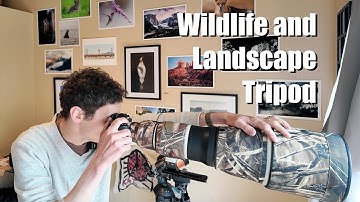 A tripod head that works for landscape and wildlife