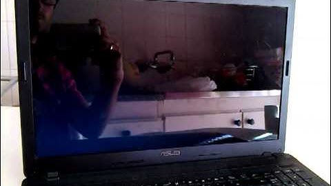 Linux Mint 13 cinnamon restarting and booting...