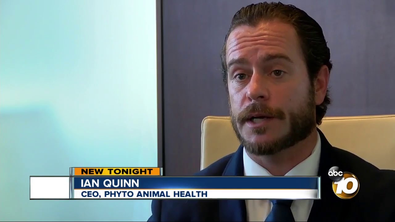 Local company offers cannabis oils for animals