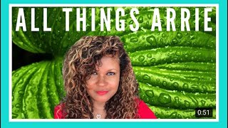 All Things Arrieoverview Of My Channel