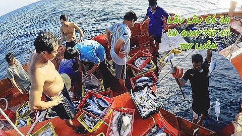 Cá ngừ ăn,ngư phủ trích cực câu miệt mài,nhìn thật đã tay | Đánh cá 2024-Tập 98 | Sóng biển hứa đông