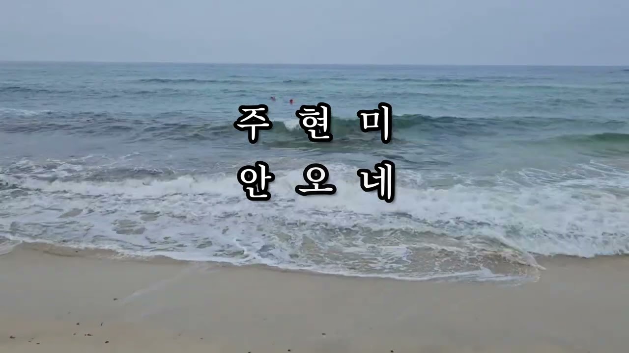 주현미 안오네