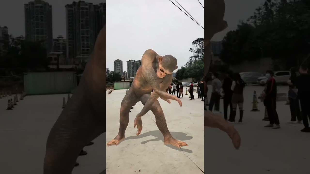 Torang pasukan damai batudaa versi monyet joget