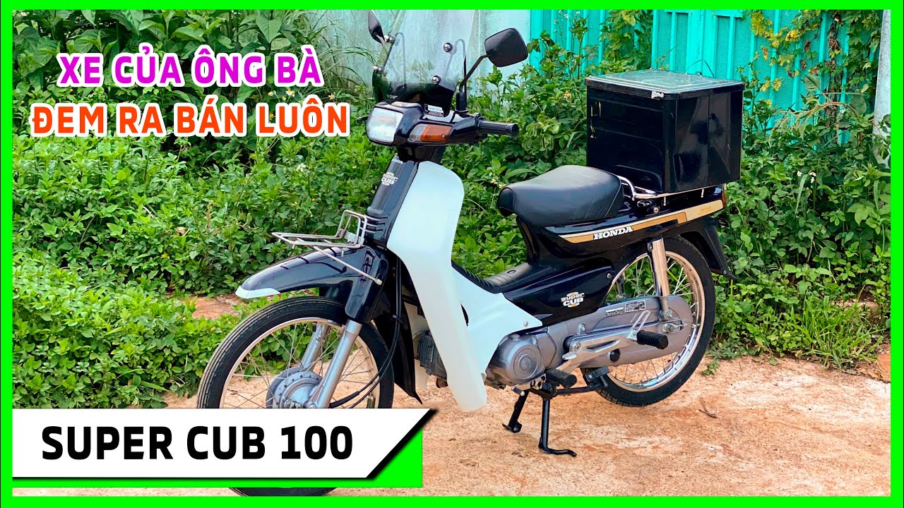 Yamaha qt50. Yamaha qt50 Мопеды. Пиаджио Браво. Мопед Хонда Express. Каб 100