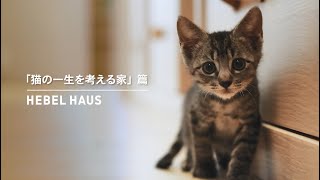HEBEL HAUS|ペットが幸せ、というしあわせ。