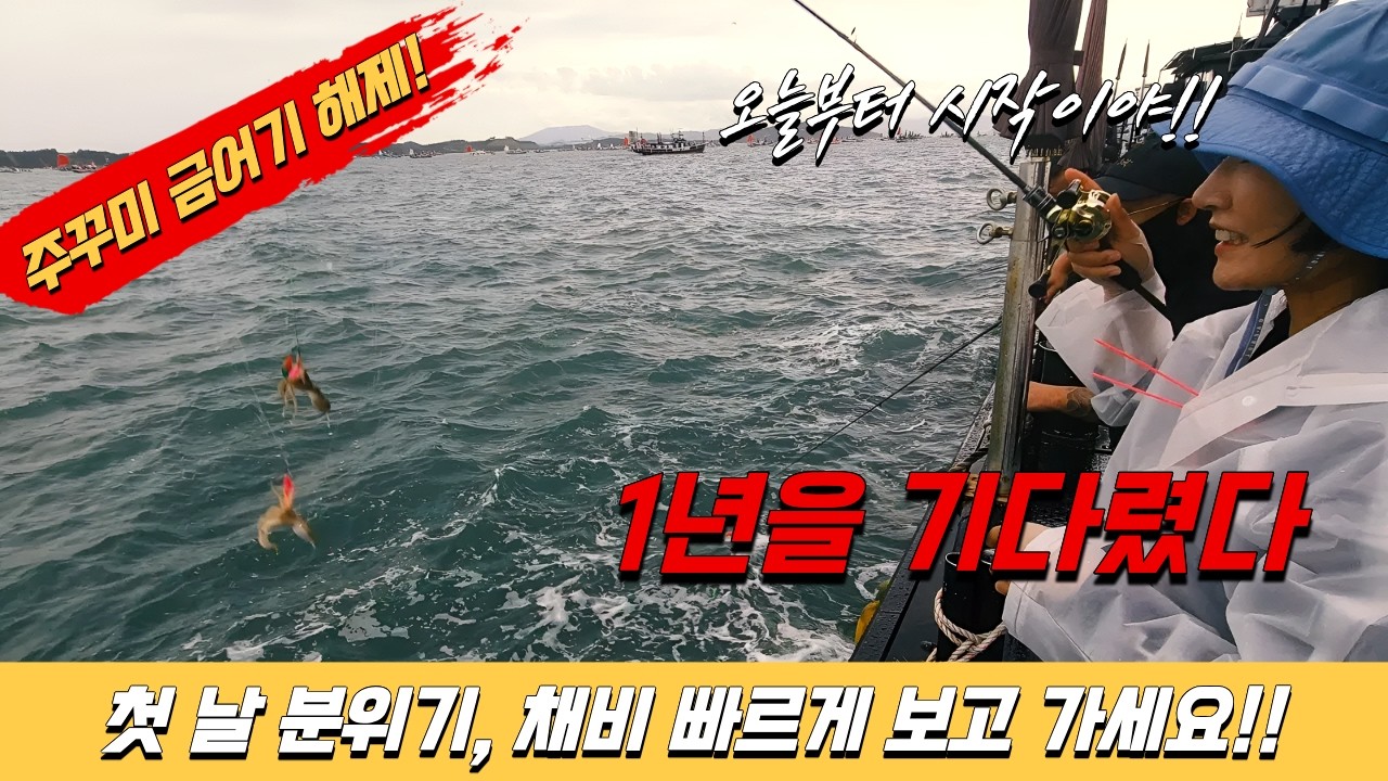 주꾸미 금어기 해제! 첫날부터 이 정도라고?