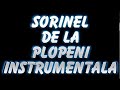 Sorinel de la plopeni    instrumentala manea criminala super de dans