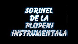 SORINEL DE LA PLOPENI    INSTRUMENTALA MANEA CRIMINALA SUPER DE DANS