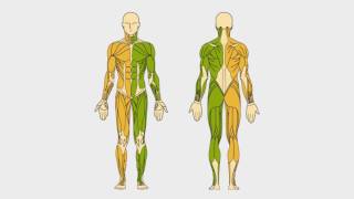 RehaMove Tutorial 3 Leg application overview screenshot 3