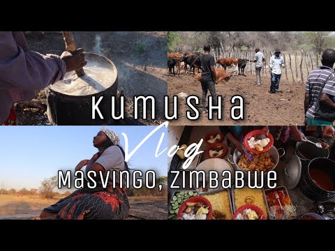 ZIMBABWE TRAVEL VLOG |Kumusha (Rural Area) | Masvingo | Weekend in Masvingo | PART 1