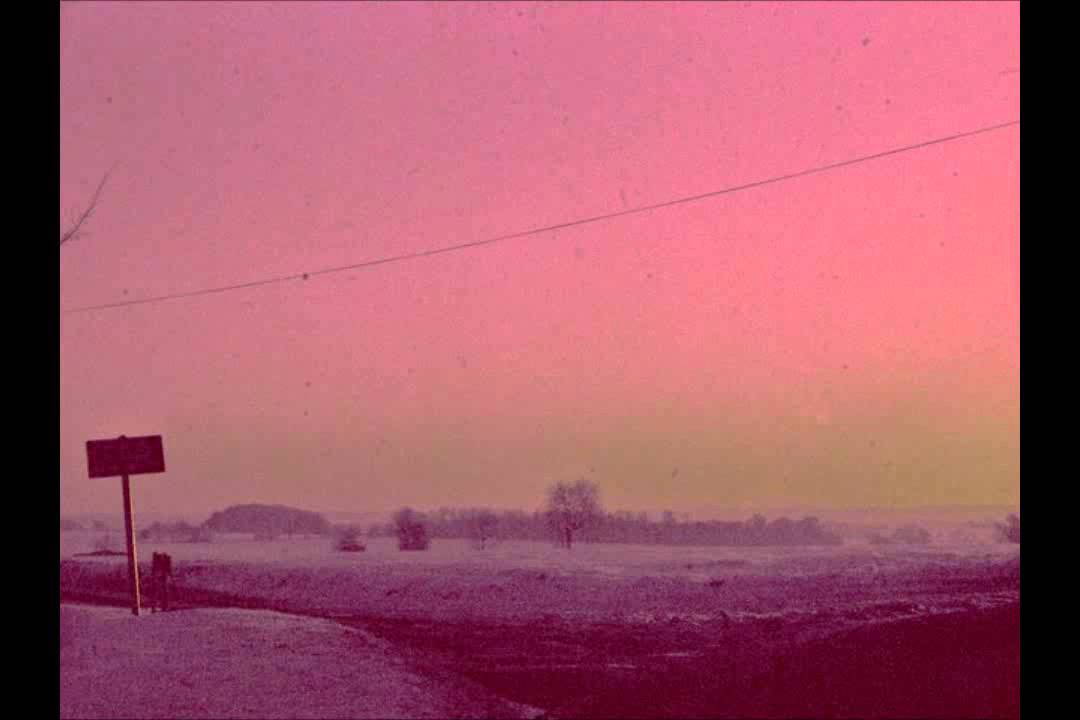 Alex & Digby - Kudlak