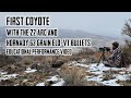 First coyote with the 22 arc and hornady 62 grain eldvt bullets  educational performance
