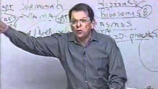 Spiritual Biology: Amazing Parallels Between Scripture and the Human Body