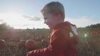 Coastal Farming in Grays Harbor County