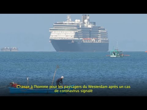 Chasse à l'homme pour les passagers du Westerdam après un cas de coronavirus signalé Chasse à l'homme pour les passagers du Westerdam après un cas de coronavirus signalé