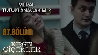 Kırgın Çiçekler 67.  - Meral tutuklanıyor! Resimi