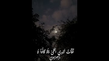 سوره يونس ✨️🤍