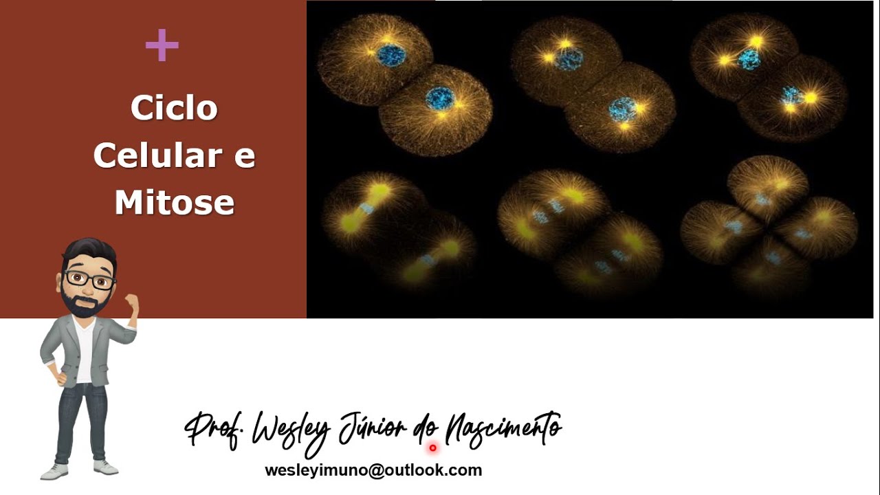 Biologia Celular- Ensino Superior- Aula 18: Ciclo Celular & Mitose
