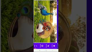 Editing photos  frame with peacock screenshot 2