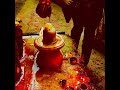Om Namashivaiah #youtube #highlights #viral #viralvideo #viralshorts #viralvideos #viralreels