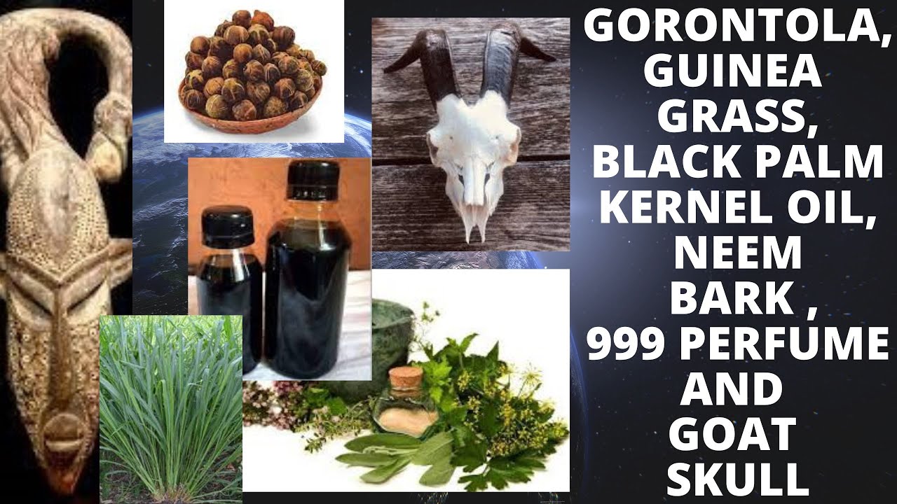 Gorontola Guinea Grass Black Palm Kernel Oil Neem Bark 999 Perfume Gorontola guinea grass black palm kernel oil neem bark 999 perfume