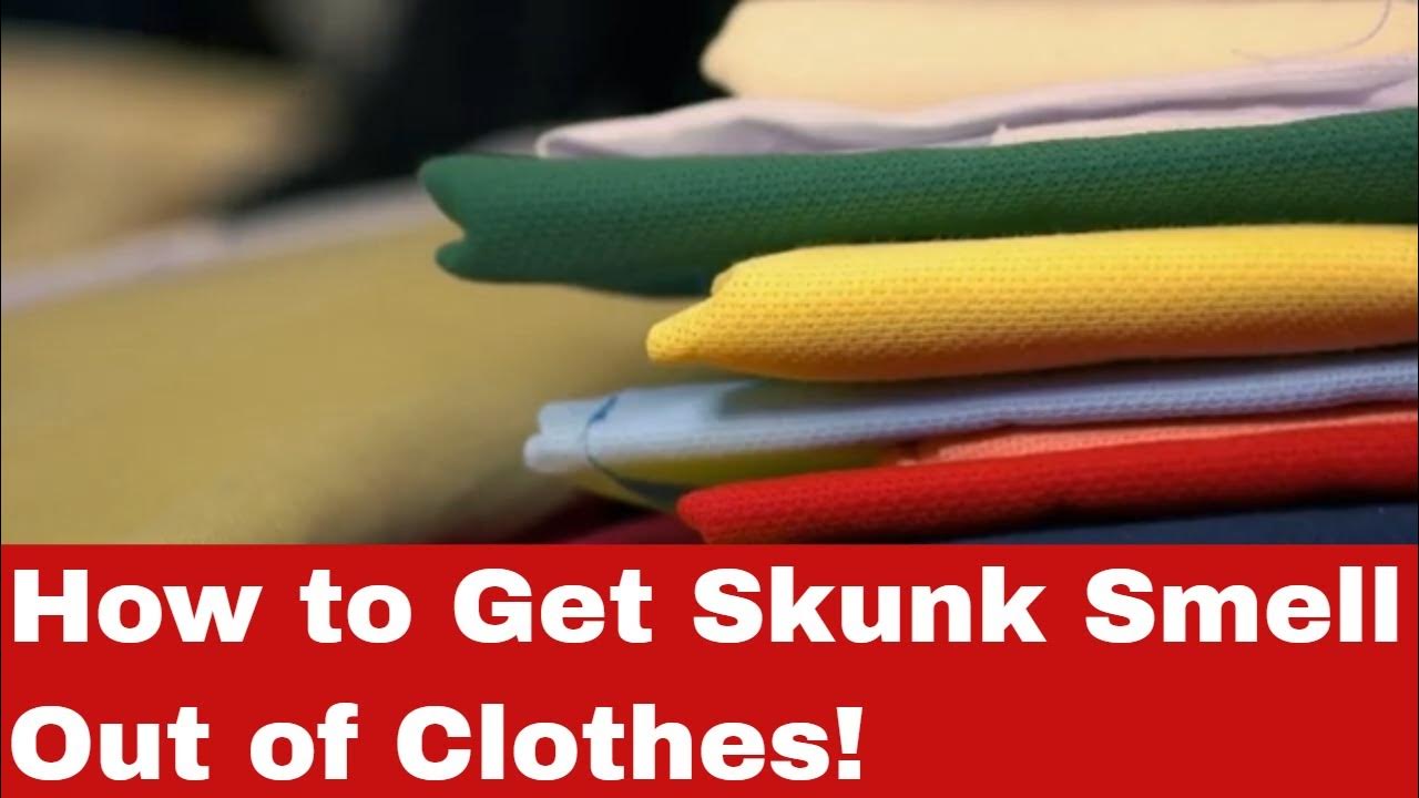 How to get skunk smell out of clothes a step by step guide youtube