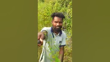 My First Vlog 3rd Lahar viral 2022|| YouTube on Sort video