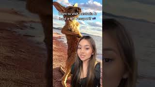 Quick & Simple Australia Eta Visa Application Method 2022