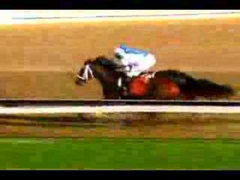 Big Brown wins the 2008 Preakness