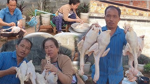 Tseev qaib npaj tos 30  sai sai no 10/12/25