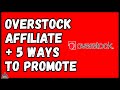 Overstock Affiliate Program Review 2022 Plus 5 Ways To Make Money