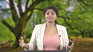 Full Lecture 44: EIA Methods - Noise #swayamprabha #ch28sp Guide