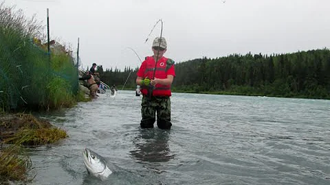 Kid catching his limit of Sockeye Salmon fishing the Kenai River