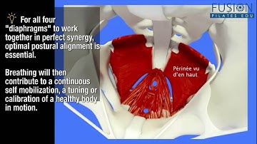 SmartSpine System presents: Animation of "whole body" breathing movement!