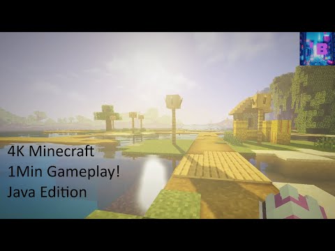 1 Minute Minecraft: Java Edition Gameplay! (4K 60FPS)