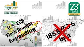 US “Flash Drought” Worst in 133-160 Years + Disease taking a Bite out of US 2025 Corn/Soybean Crops