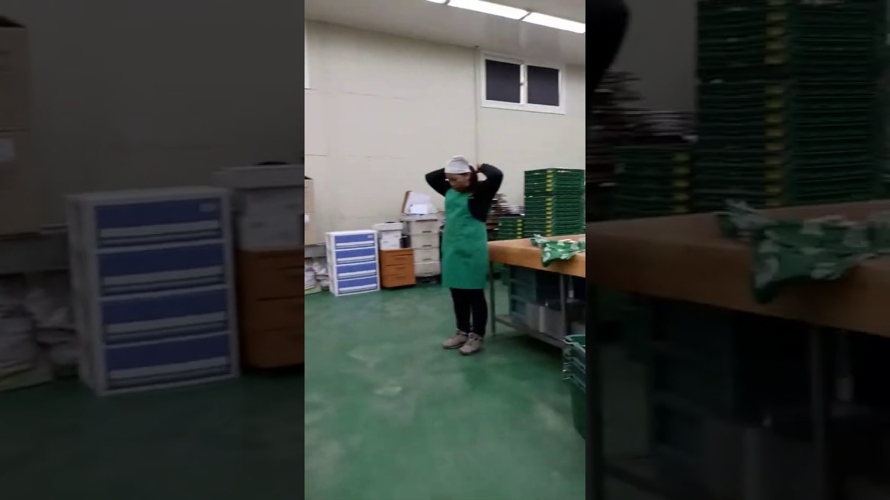 Vegetable repacking : factory in South Korea - YouTube