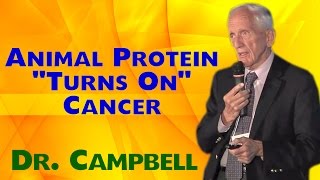 Animal Protein Turns On Cancer Genes - T. Colin Campbell Phd