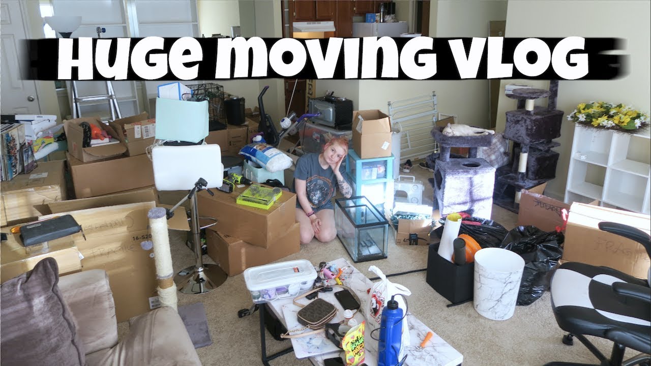 ✨MOVING INTO MY NEW APARTMENT✨ | VLOG |