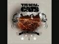 typical cats - thin red line