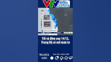 Tối và đêm nay 14/12, Trung Bộ có nơi mưa to | VTVWDB