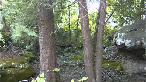 Ben and Cathy's Road Trip to Lookout Mountain 0920...