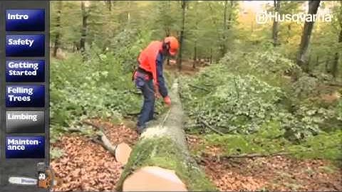 How to Work with Husqvarna Chainsaws - Limbing