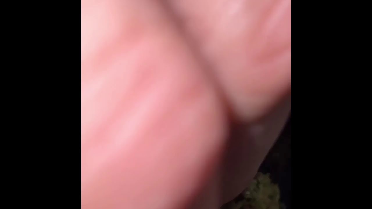 #orange