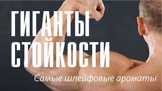 САМЫЕ СТОЙКИЕ И ШЛЕЙФОВЫЕ АРОМАТЫ из моей коллекции (и вообще)! Монстры выносливости!