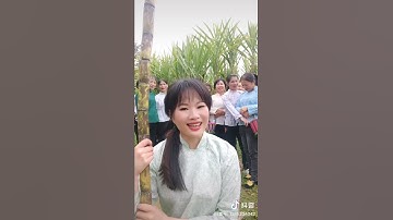 Thơ Tày Nùng ( Choang _ Trung Quốc )